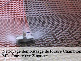 Nettoyage demoussage de toiture  1436