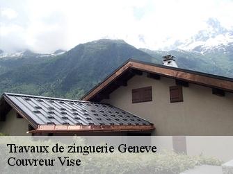 Travaux de zinguerie  geneve-1202 Couvreur Vise