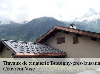 Travaux de zinguerie  bussigny-pres-lausanne-1030 Couvreur Vise