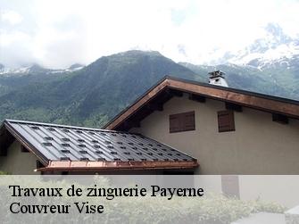 Travaux de zinguerie  payerne-1530 Couvreur Vise