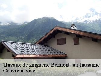 Travaux de zinguerie  belmont-sur-lausanne-1092 Couvreur Vise