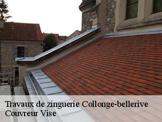 Travaux de zinguerie  1245