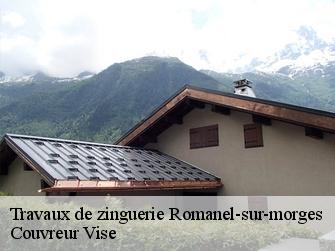 Travaux de zinguerie  romanel-sur-morges-1122 Couvreur Vise