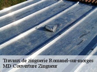 Travaux de zinguerie