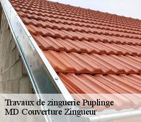 Travaux de zinguerie  puplinge-1241 MD Couverture Zingueur