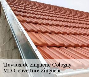 Travaux de zinguerie  cologny-1223 MD Couverture Zingueur