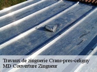 Travaux de zinguerie