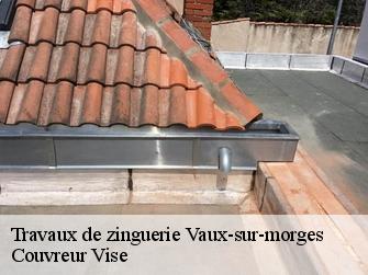 Travaux de zinguerie