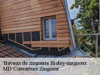 Travaux de zinguerie  1407
