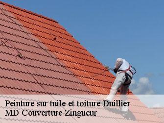 Peinture sur tuile et toiture