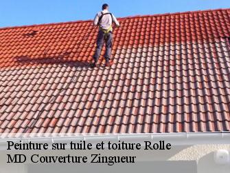 Peinture sur tuile et toiture  1180