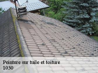 Peinture sur tuile et toiture  1030