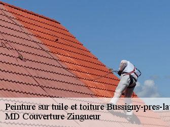 Peinture sur tuile et toiture