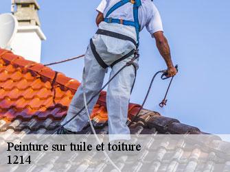 Peinture sur tuile et toiture  1214