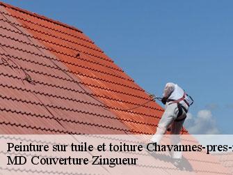 Peinture sur tuile et toiture