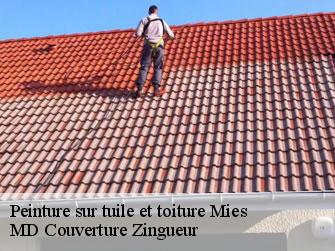 Peinture sur tuile et toiture  1295