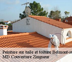 Peinture sur tuile et toiture  belmont-sur-lausanne-1092 MD Couverture Zingueur