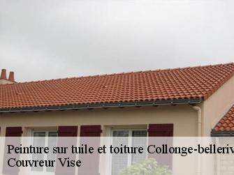 Peinture sur tuile et toiture 1245