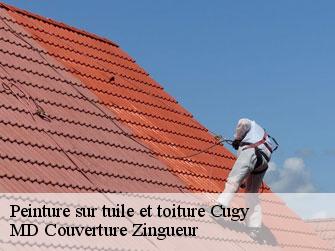 Peinture sur tuile et toiture