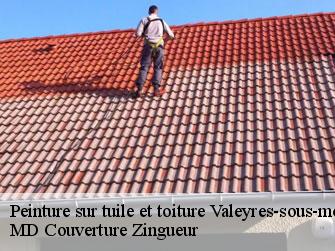 Peinture sur tuile et toiture  1441