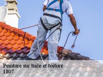 Peinture sur tuile et toiture  1807