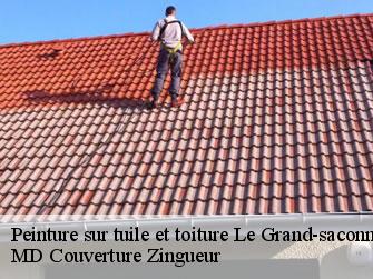 Peinture sur tuile et toiture 1218