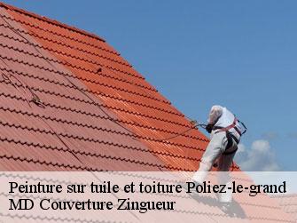 Peinture sur tuile et toiture