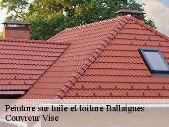 Peinture sur tuile et toiture ballaigues-1338 Couvreur Vise