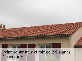 Peinture sur tuile et toiture 1338