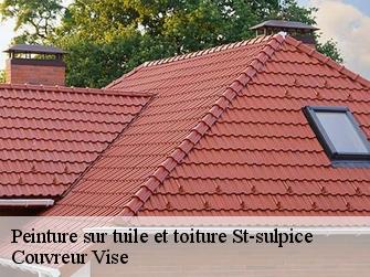 Peinture sur tuile et toiture  st-sulpice-1025 Couvreur Vise