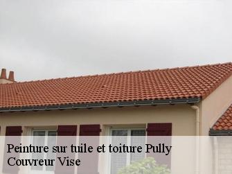 Peinture sur tuile et toiture  1009