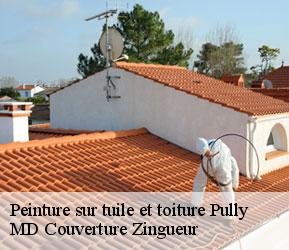 Peinture sur tuile et toiture  pully-1009 MD Couverture Zingueur
