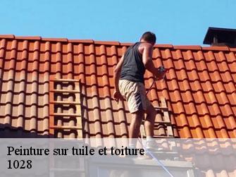 Peinture sur tuile et toiture