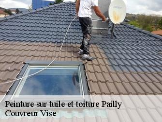 Peinture sur tuile et toiture