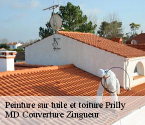 Peinture sur tuile et toiture  prilly-1008 MD Couverture Zingueur