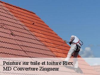 Peinture sur tuile et toiture