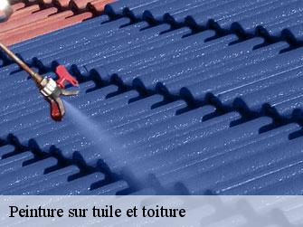 Peinture sur tuile et toiture