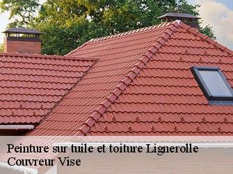 Peinture sur tuile et toiture lignerolle-1357 Couvreur Vise