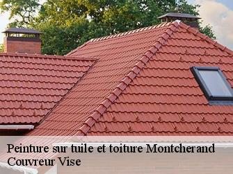 Peinture sur tuile et toiture  montcherand-1354 Couvreur Vise