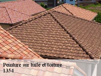 Peinture sur tuile et toiture 1354