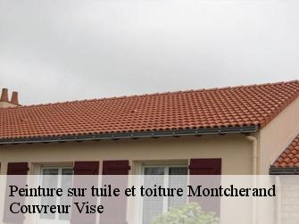 Peinture sur tuile et toiture 1354