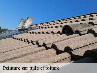 Peinture sur tuile et toiture 1354