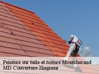 Peinture sur tuile et toiture