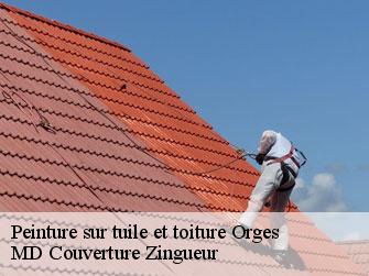 Peinture sur tuile et toiture