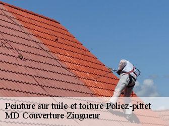 Peinture sur tuile et toiture