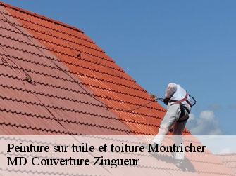 Peinture sur tuile et toiture