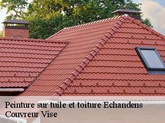 Peinture sur tuile et toiture  echandens-1026 Couvreur Vise