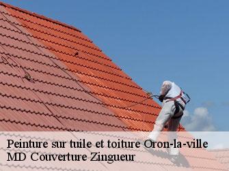 Peinture sur tuile et toiture