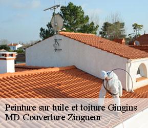 Peinture sur tuile et toiture  gingins-1276 MD Couverture Zingueur