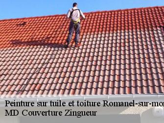 Peinture sur tuile et toiture  1122